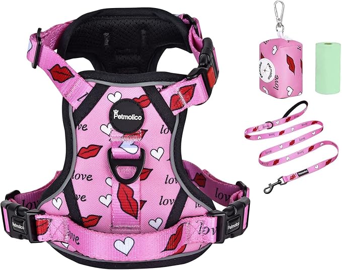 Petmolico No Pull Dog Harness Set with Leash Attachment Easy Control Handle Reflective Harness Vest Small Breed, Puppy Vest and Leash Set with Poop Bag Holder, Medium - Red Lips