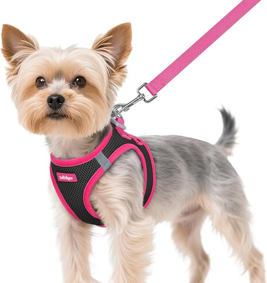 rabbitgoo Dog Harness Small Sized and Leash Set, Step-in Breathable Pet Harness, Soft Walking Reflective Puppy Vest for Small Dogs, Black & Rose Red, XS