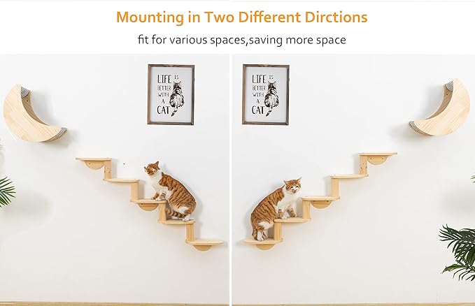 Cat Shelf for Wall Mount Hammock with 5-Levels Climbing Ladder Moon Cat Shelves and Perches for Activity Indoor Cats Wall Furniture(5-Levels Steps)