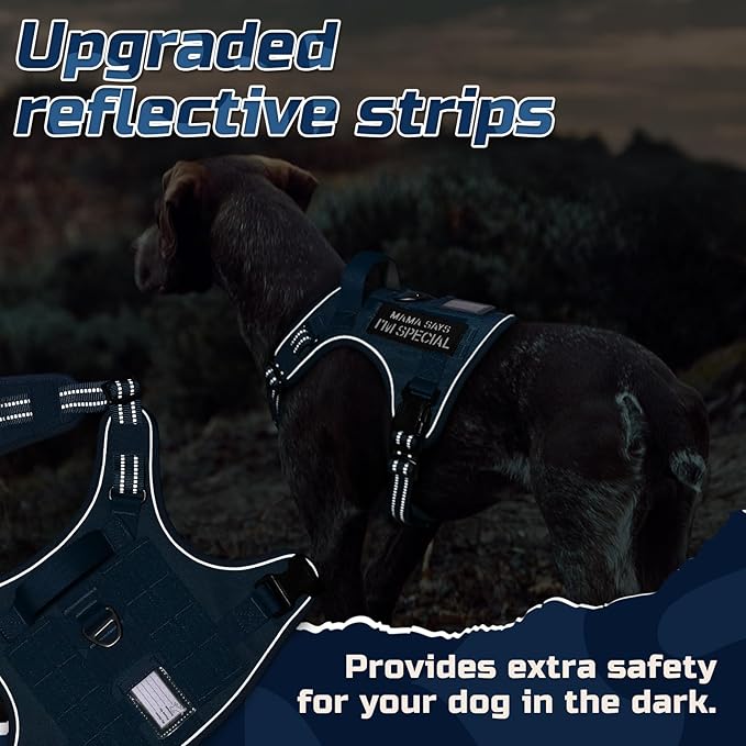 rabbitgoo Dog Harness No Pull, Military Dog Harness Medium Sized Dog with Handle & Molle, Easy Control Service Dog Vest Harness Training Walking, Adjustable Reflective Tactical Pet Harness, Blue, M