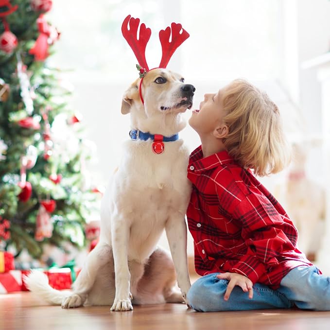 SCENEREAL Large Dog Collar Bell, 2 Pack Dog Bell for Collar, Noise Maker Extra Loud Anti-Theft Bell for Training, Hiking, Walking, Hunting, Pet Tracker, Save Birds & Wildlife, Red x 2, L