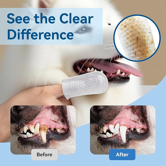 No-Rinse Dog Teeth Cleaning Wipes - Cat & Dog Fresh Breath Pet Dental Finger Wipes, Dog Toothbrush Dental Wipes to Easy Remove Plaque & Tartar, Gently Cleans Discharge (XL-50PCS, Honey)