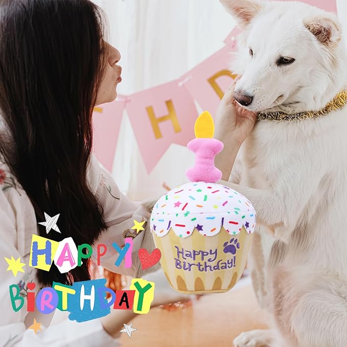 Dog Birthday Toy, Birthday Cake Plush Squeak Dog Toys for Puppy Gifts, Unique Bone Candle Design, Dogs Party Decor
