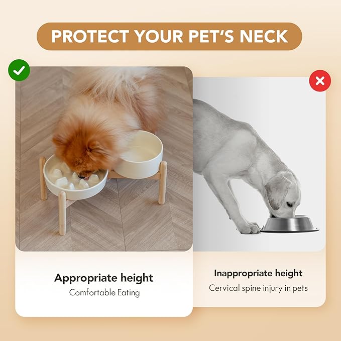 Ceramic 1.2 Cup Raised Slow Feeder Dog Bowl Set, Elevated 6.1inch Bowl and 7.3inch Slow Pet Food Dish with Wooden Stand for Small and Medium Dog (2 x Beige+ Stand)
