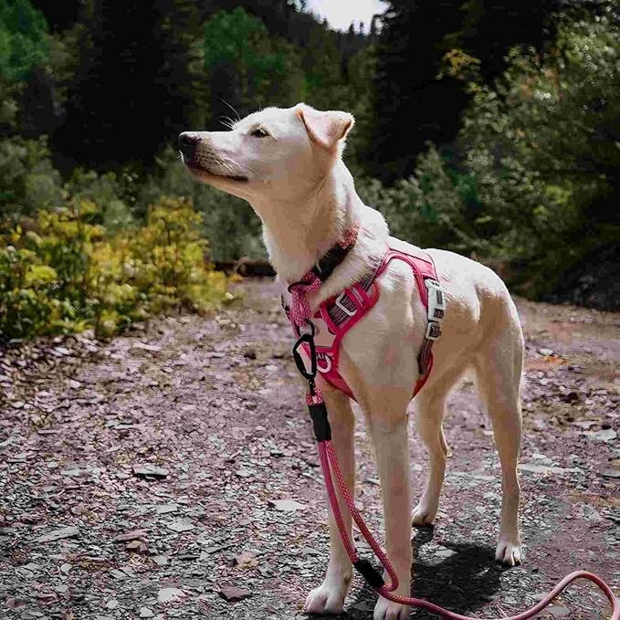 Auroth Tactical Pet Harness for Small Medium Large Dogs No Pull Adjustable, Reflective K9 Working Training Easy Control Vest Military Service Dog, Medium, Pink Camo