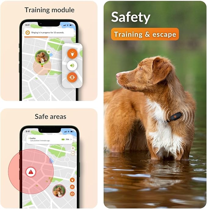 Weenect Dog XS - New GPS Tracker for Dogs | Real-time Mini GPS Tracker for Dogs | Waterproof | Smallest Model on The Market | Subscription Required