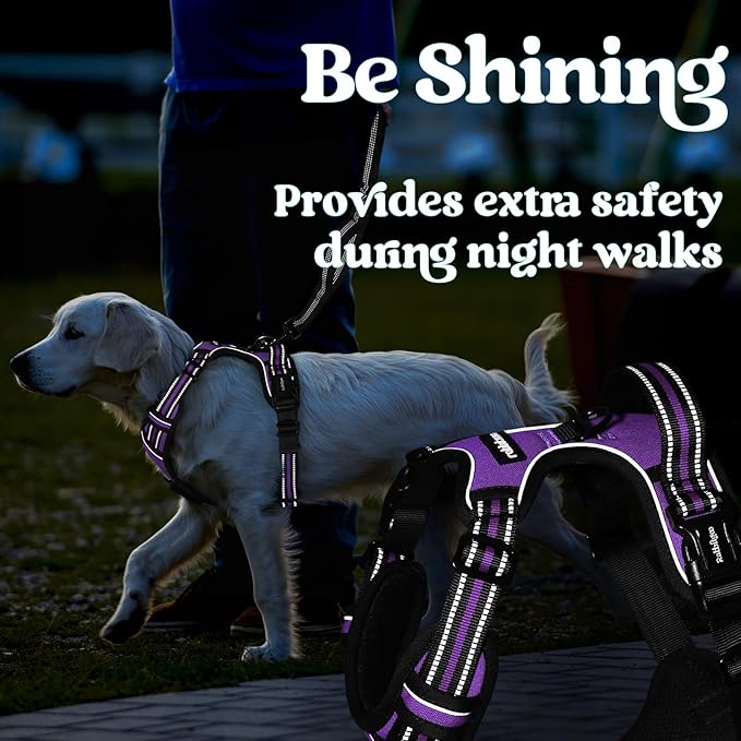 rabbitgoo Dog Harness Small Sized, No Pull Pet Harness with 3 Buckles, Adjustable Soft Padded Vest with Control Handle, Walking Reflective Pet Vest for Small Dogs, Purple, S