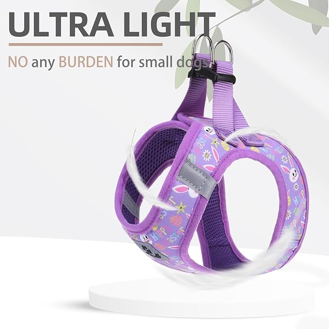 PUPTECK Adjustable Dog Harness Collar and Leash Set Step in No Pull Pet Harness for Small Medium Dogs Puppy and Cats Outdoor Walking Running, Soft Mesh Padded Reflective Vest Easter Harnesses