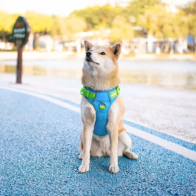 PHOEPET No Pull Dog Harness, Unique Colors Reflective Adjustable Dog Vest, with Soft Training Handle Metal Clips for Small Medium Large Dogs (Blue Base & Green Straps,M)