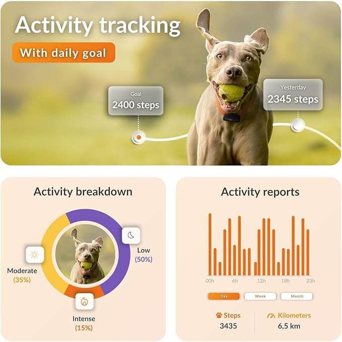 Weenect Dog XS - New GPS Tracker for Dogs | Real-time Mini GPS Tracker for Dogs | Waterproof | Smallest Model on The Market | Subscription Required
