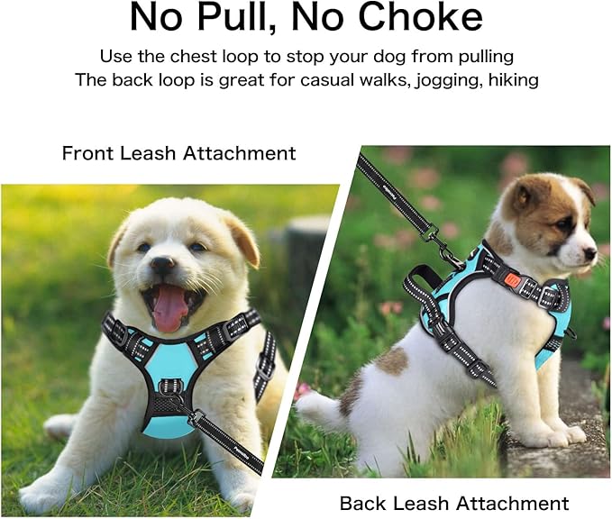Petmolico No Pull Dog Harness Set with Leash Attachment Easy Control Handle Reflective Harness Vest Small Breed, Puppy Vest and Leash Set with Poop Bag Holder, Medium - Turquoise
