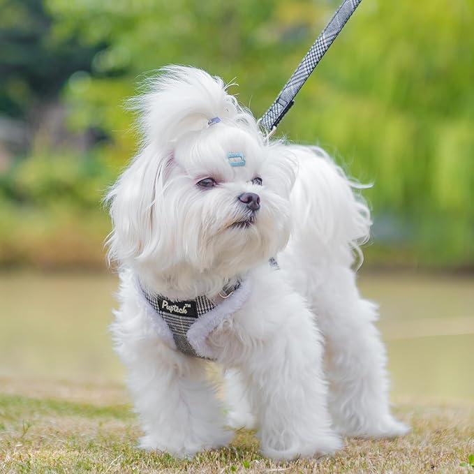 PUPTECK Dog Harness and Leash Set Small Sized, Step in No Pull Adjustable Puppy Cat Harness Reflective Pet Vest