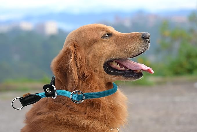 Braided Round Martingale Dog Collar, Training Collar with Slidable Stop Ring and Adjustable Stopper - Ideal for Large Dogs (L(1/2") - 20" Long, Light Blue)