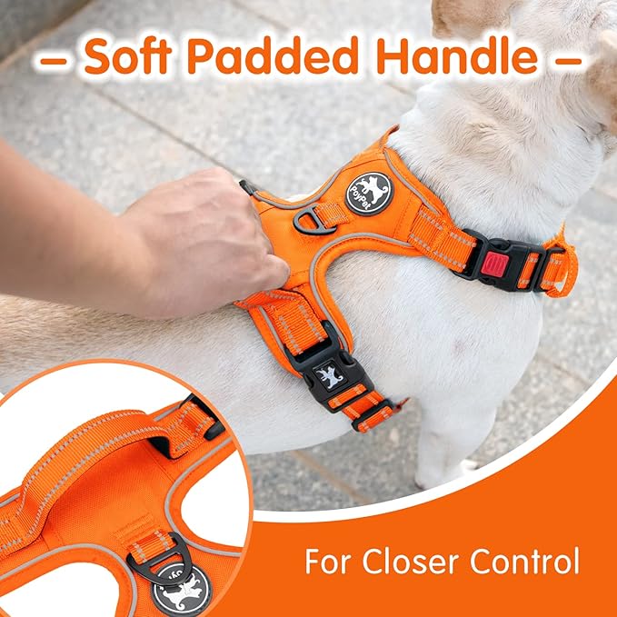 PoyPet No Pull Dog Harness and 5 Feet Leash Set, Release on Neck Reflective Adjustable Pet Vest, Front & Back 2 D-Ring and Soft Padded Pet Harness with Handle for Small to Large Dogs(Orange,L)