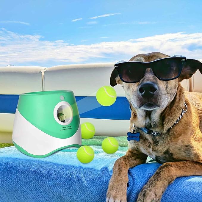 10 Pack 2-Inch Small Tennis Balls for Dogs, Interactive Fetch Toys for Indoor & Outdoor Play, Chew-Resistant Pet Training Balls(Not Compatible with The New Ball-Throwing Machine)