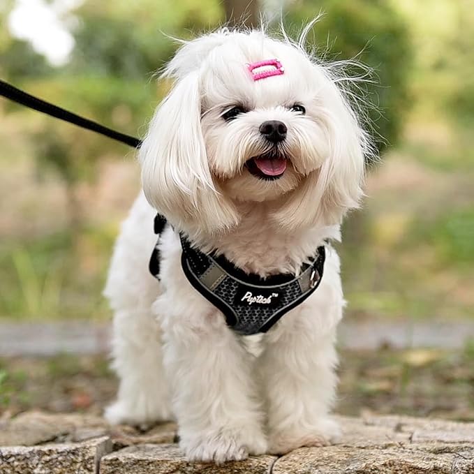 PUPTECK Dog Harness and Leash Set Small Sized, Step in No Pull Adjustable Puppy Cat Harness Reflective Pet Vest