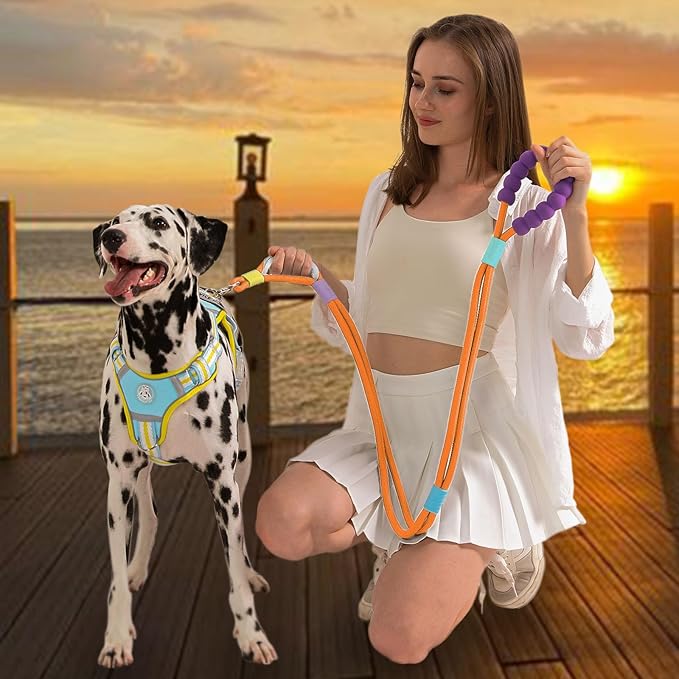 JSXD Dog Leash,5 FT Heavy Duty Dog Training Leash,Double Handle Comfortable Padded Hands Free Dog Leash,Adjustable Crossbody Waist Leash for Small Medium Large Dogs(Orange)