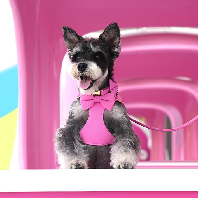Beirui Cute Extra Small Dog Harness Set with Three Detachable Bows, Adjustable Step in Dog Harness Collar and Leash Set with Secure Metal Buckle for Walking, Parties & Holiday Outfits(Hot Pink,XS)