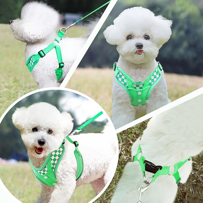 Dog Harness with Leash, Soft No Pull Adjustable Step in Reflective Strips Vest Harness for Small Medium Dogs Walking and Running (S Green)