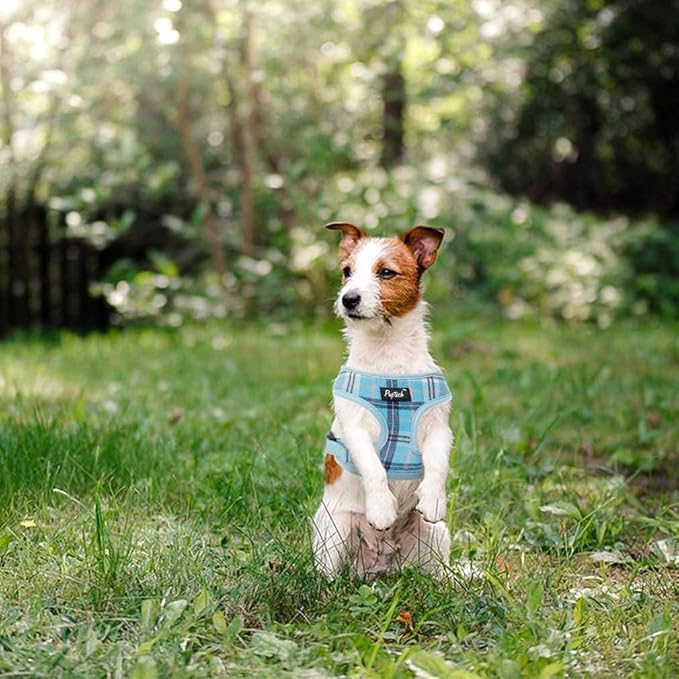 PUPTECK Soft Mesh Dog Harness and Leash Set Pet Puppy Cat Comfort Padded Vest No Pull Harnesses, Light Blue, XS