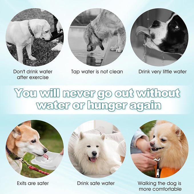 Portable Dogs Water Bottle with Food Storage Container, Leakproof Drinking Water Dispenser Feeder for Outdoor Dog Stuff Accessories Items for Cats, Puppy,for Walking, Hiking (White, 550ml)