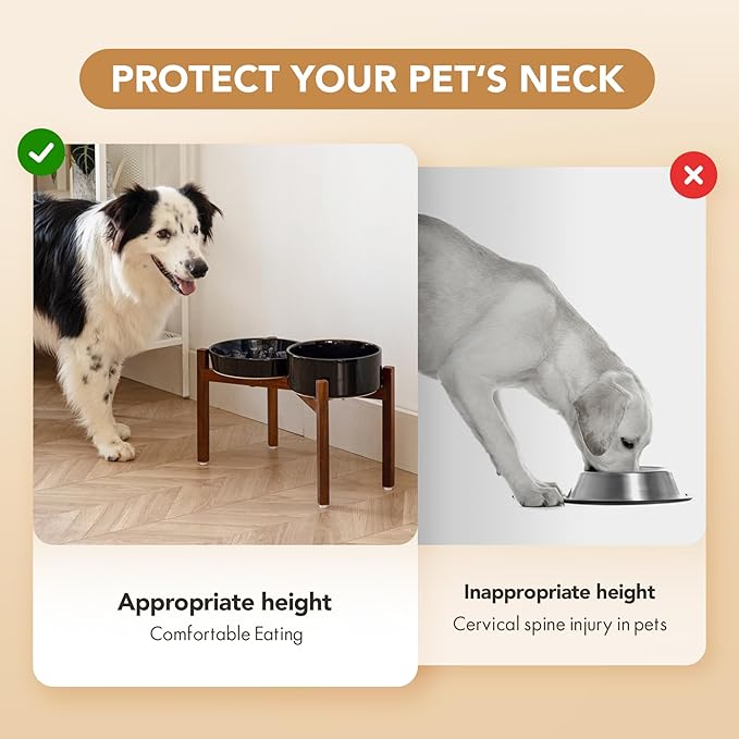 Ceramic 1.6 Cup Raised Slow Feeder Dog Bowl Set, Elevated 7.3inch Bowl and 8.2inch Slow Feeder Dish with Acacia Wood Stand for Medium and Large Dogs (2 x Starry Sky+ Stand)