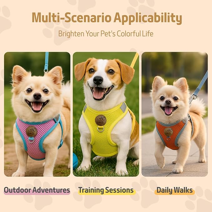 Small Dog Harness and Leash Set, Adjustable Step-in Dog Harness with Back Clip, Reflective Escape Proof Easy Walk Dog Harness for Small Sized Dog, Puppy, Cats (Lemon Yellow S)