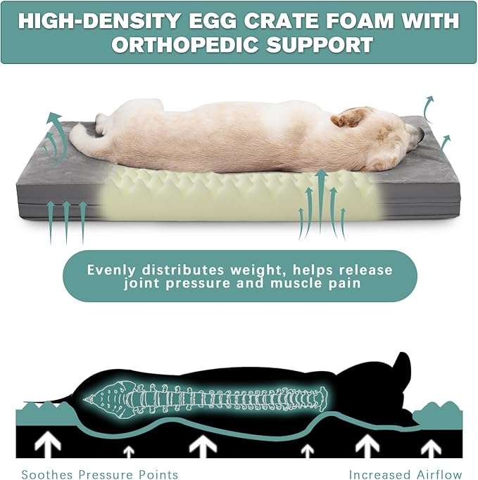 Waterproof Dog Beds Large Sized Dogs, Washable Orthopedic Pet Bed with Removable Cover Reversible, Foam Pets Bed Durable Anti-Slip Bottom, 36"x27", Gray