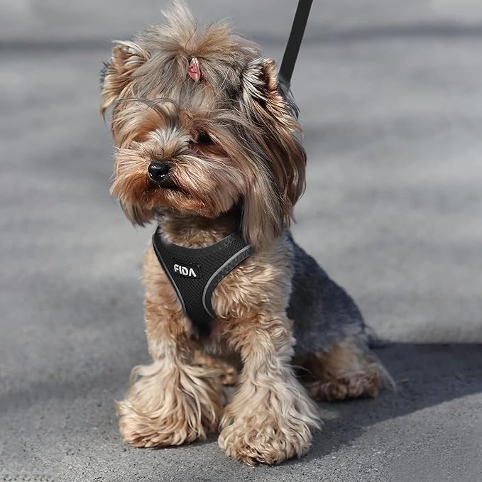 Fida Cat Harness and Leash Set for Walking Kitten and Puppy, Escape Proof Kitten Harness with Breathable Lightweight Soft Mesh, Adjustable Reflective Step-in Design for Kitten and Puppy.(XXXS, Black)