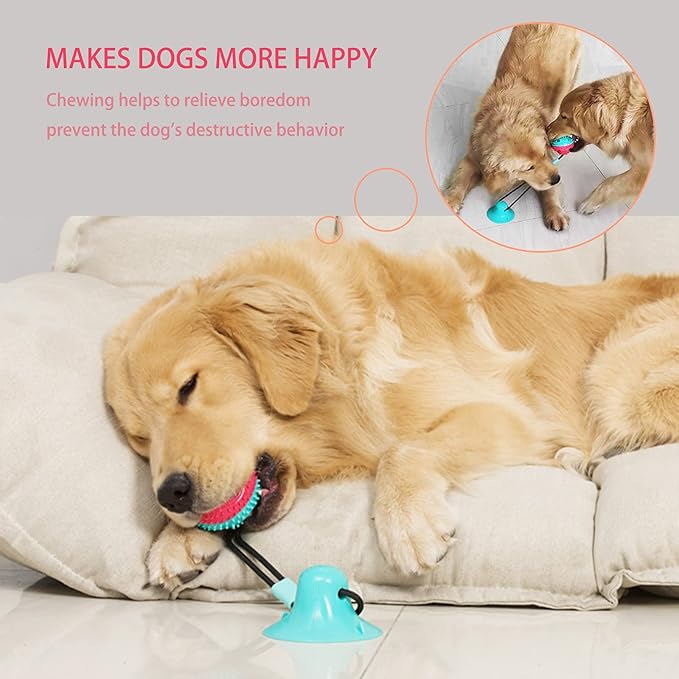 Dog Toys Chew Toys for Aggressive chewers, Puppy Training Treats Teething Rope Toys for Boredom Dog Puzzle Treat Food Dispensing Ball Toys for Puppies Teething (Blue)