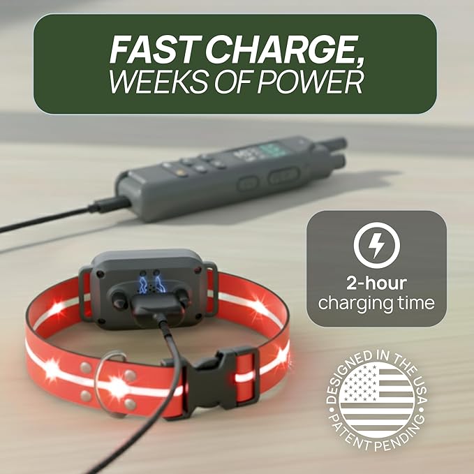 2-in-1 Dog Shock Collar with Remote & 360° LED Safety Lights – 4200FT Range Dog Training Collar, IPX8 Waterproof, 4 Training Modes, Rechargeable E-Collar for Small Medium & Large Dogs (10-120lbs)