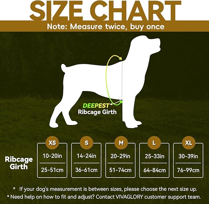 VIVAGLORY Dog Harness Easewalk No Pull Dog Harness with Handle & Front Back Clip for Training Lifting, Easy On Adjustable Padded No Pull for Pet & Puppy, M, Hunter Teal