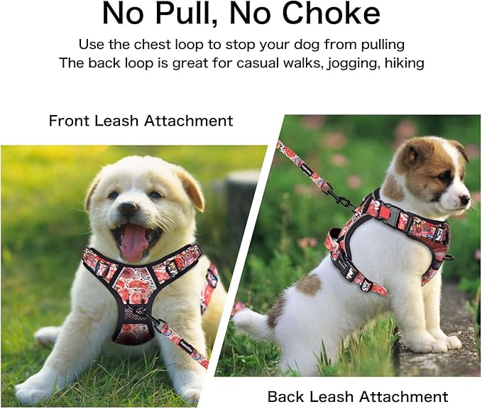 Petmolico No Pull Dog Harness Set with Leash Attachment Easy Control Handle Reflective Harness Vest Small Breed, Puppy Vest and Leash Set with Poop Bag Holder, Medium - Boho Floral