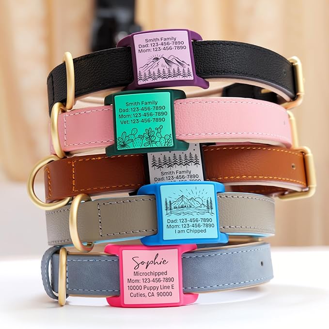 Silent Dog Tag, Personalized Engraved Tracker Case for Pet Collar, Quiet Slide On Tags for Collars