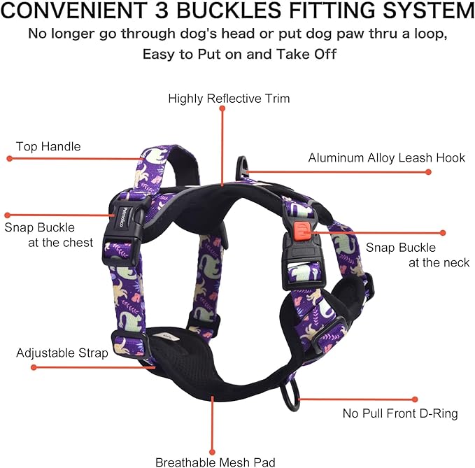 Petmolico No Pull Dog Harness Set,4 Leash Attchment Easy Control Handle Reflective Vest Dog Harness and Leash Set for Small Breed, with Poop Bag Holder,Small-Purple Dinosaur