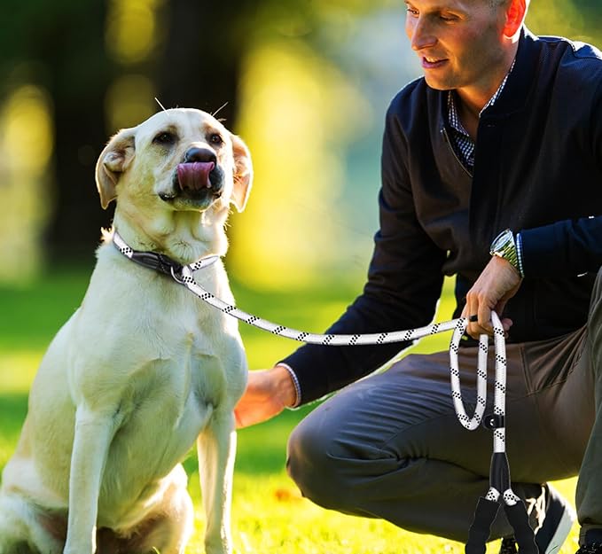 Dog Leash 6 FT, Durable Premium Quality Strong Training Rope Slip Leash with Comfortable Padded Handle and Highly Reflective Threads for Small Medium and Large Dogs, (Light Gray)