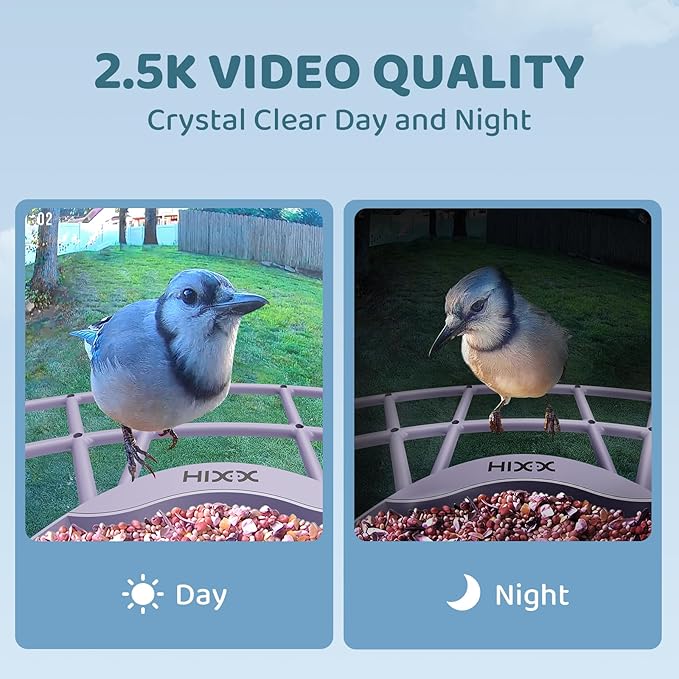 HIXX Smart Bird Feeder with Camera, AI Identify Birds & Auto Capture, 2K HD Live Camera Birdwatching with Color Night Vision for Bird Lovers Gifts (Purple)