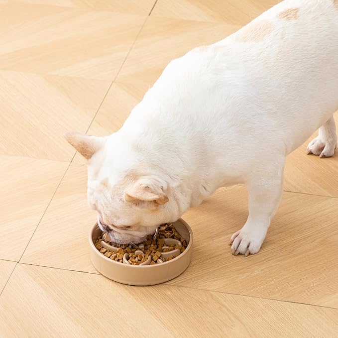 vancasso Ceramic Slow Feeder Dog Bowls, Puzzle Dog Food Bowls with Floral Maze, Anti -Slip Pet Food Dish for Small Breed, 0.6 Cups, Brown