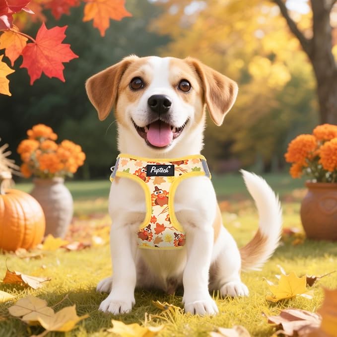 PUPTECK Dog Harness and Leash Set for Small Medium Dogs No Pull Step-in Soft Mesh Puppy Cat Vest Harnesses Reflective at Night Thanksgiving, Yellow Turkey, S