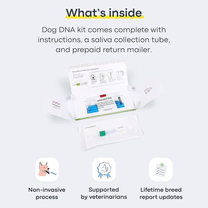 Basepaws Dog DNA Testing Kit - 330+ Breeds, 280+ Health Risks, and 30+ Traits - Comprehensive Mixed Breed Identification, Pet DNA Test kit, Canine Genetic Ancestry and Heritage