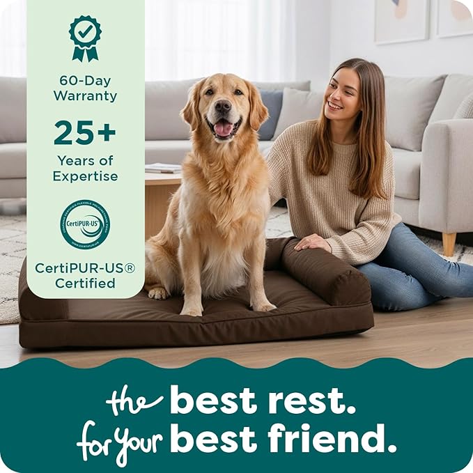 Furhaven Orthopedic Dog Bed for Large Dogs w/ Removable Bolsters & Washable Cover, For Dogs Up to 95 lbs - Plush & Suede Sofa - Espresso, Jumbo/XL