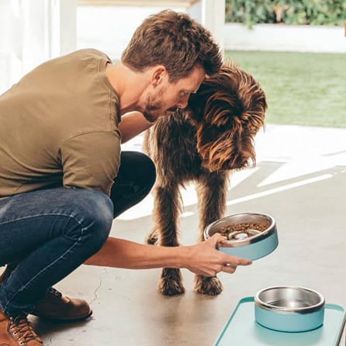 Trot Pets Premium Dog Bowls | Stainless Steel Bowl Set for Small, Medium, or Large Dogs | Non-Slip Food and & Water Slow Feeder | Durable, BPA-Free, Anti-Skid, Dishwasher Safe (Sky, Small)