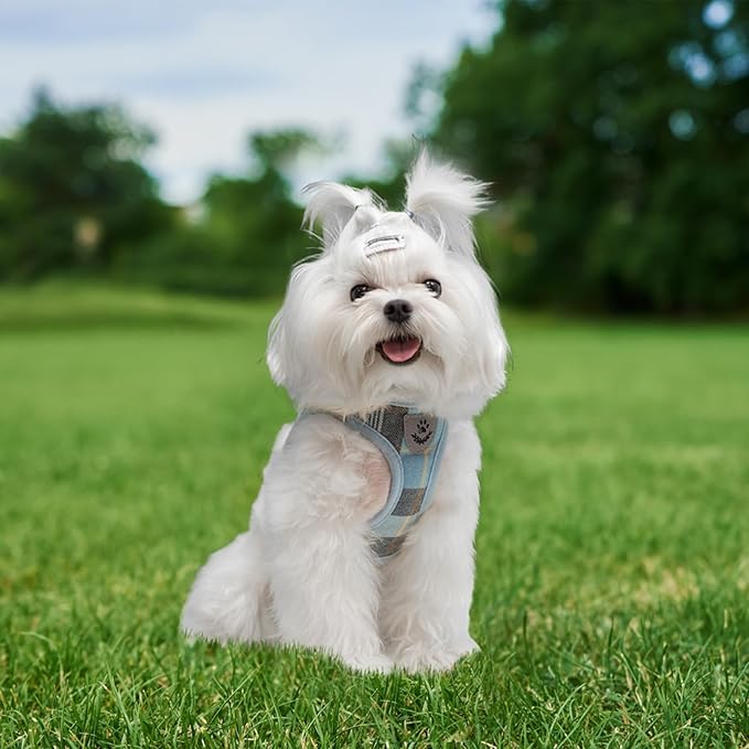 EXPAWLORER Classic Plaid Puppy Harness - Small Dog Harness and Leash Set - Dog Collar and Leash Set with AirTag Holder, Soft Padded Step in Dog Vest Harness No Pull Reflective for Outdoor, Blue M