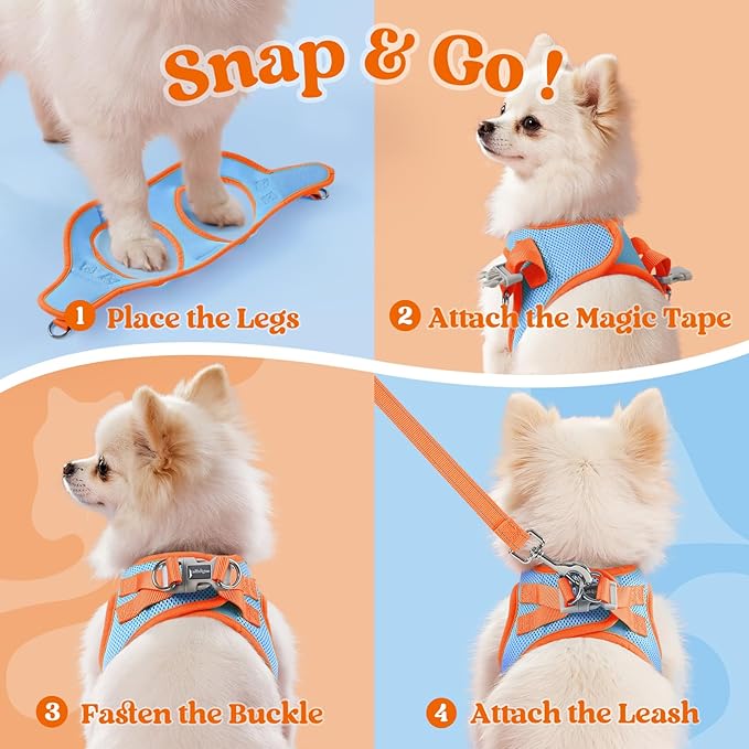 rabbitgoo Dog Harness Small Sized and Leash Set, Step-in Breathable Pet Harness, Soft Walking Reflective Puppy Vest for Small Dogs, Light Blue & Orange, S