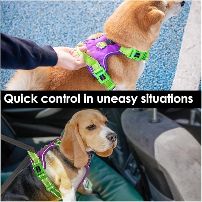 PHOEPET No Pull Dog Harness, Unique Colors Reflective Adjustable Dog Vest, with Soft Training Handle Metal Clips for Small Medium Large Dogs (Purple Base & Green Straps,XS)