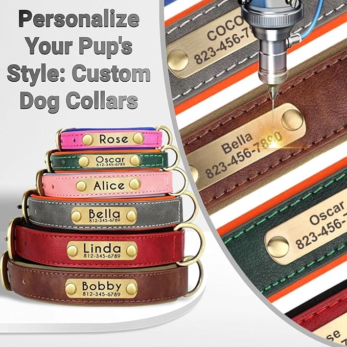 Leather Dog Collar Personalised and Leash Set, Personalized with Soft Padded Design Heavy Duty Featuring Custom Engraved Name Plate for Small Medium and Large Dogs