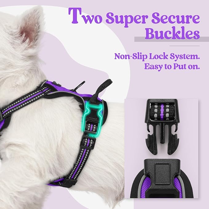 rabbitgoo Dog Harness No Pull with 2 Leash Clips, Adjustable Soft Padded, Reflective Oxford No Choke Pet Vest with Easy Control Handle for Puppy, Purple,XS