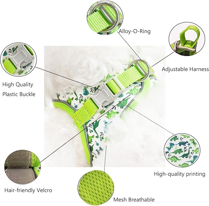 Small Dog Harness and Leash Set, Step in Dog Harness No Pull for Walking Running Training, Puppy Essentials for Dogs Cat Bunny, Adjustable Reflective Dog Vest Harness. (Green, S)