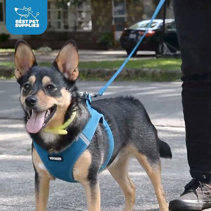 Voyager Step-in Air All Weather Mesh Harness and Reflective Dog 5 ft Leash Combo with Neoprene Handle, for Small, Medium and Large Breed Puppies by Best Pet Supplies - Gray (2-Tone), M (Pack of 2)