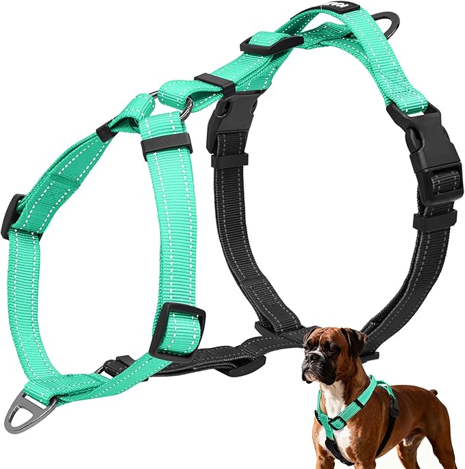 No-Pull Harness,Y-Shaped Design,Buckle-Neck Balance Harness with Reflective Stitching, Ideal for Dog Training and Night Walking, Padded Handle, Durable High-Tensile Nylon-Aqua Green-L